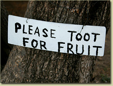 please toot for fruit